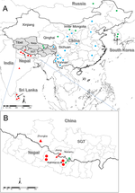 The reemergence of human rabies and emergence of an Indian subcontinent lineage in Tibet, China